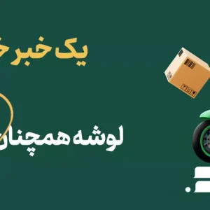 اسپری خوشبوکننده هوا طلایی گلدن داست نیوتیس