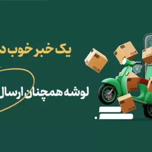 اسپری خوشبوکننده هوا طلایی گلدن داست نیوتیس