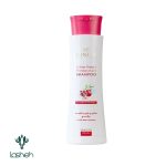 شامپو تثبیت‌کننده رنگ مو مخصوص موهای رنگ‌شده سینره