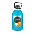 مایع دستشویی نارگیل کوکو واتر نیوتیس