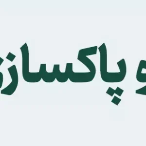 اسپری خوشبوکننده هوا طلایی گلدن داست نیوتیس