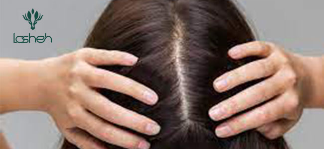 شامپو موهای معمولی