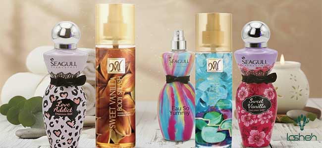 بنر بادی اسپلش