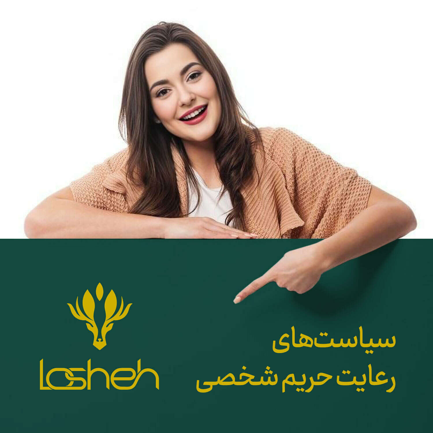 قوانین و مقررات حریم خصوصی لوشه